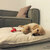 Dog cushion bed Divan UNO