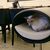 Design cat tree RONDO Stand Leather