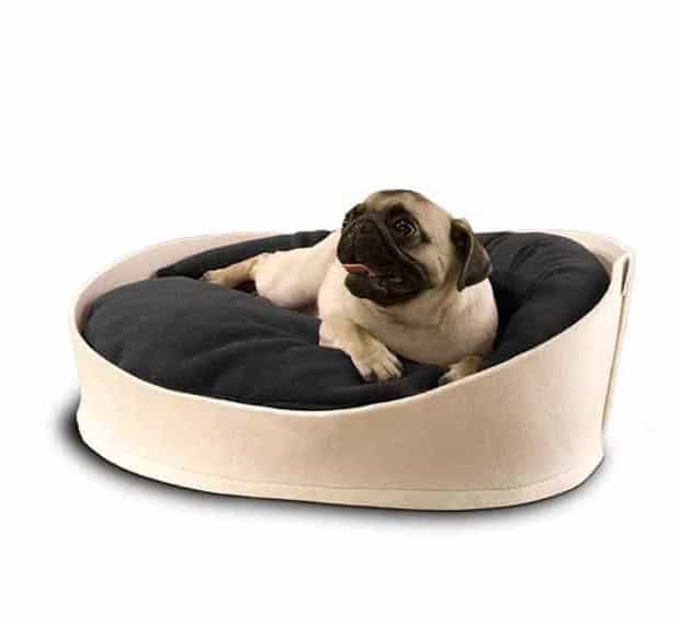 Pug Lola snuggles up in the oval Arena dog basket made of cream-coloured felt by pet-interiors.