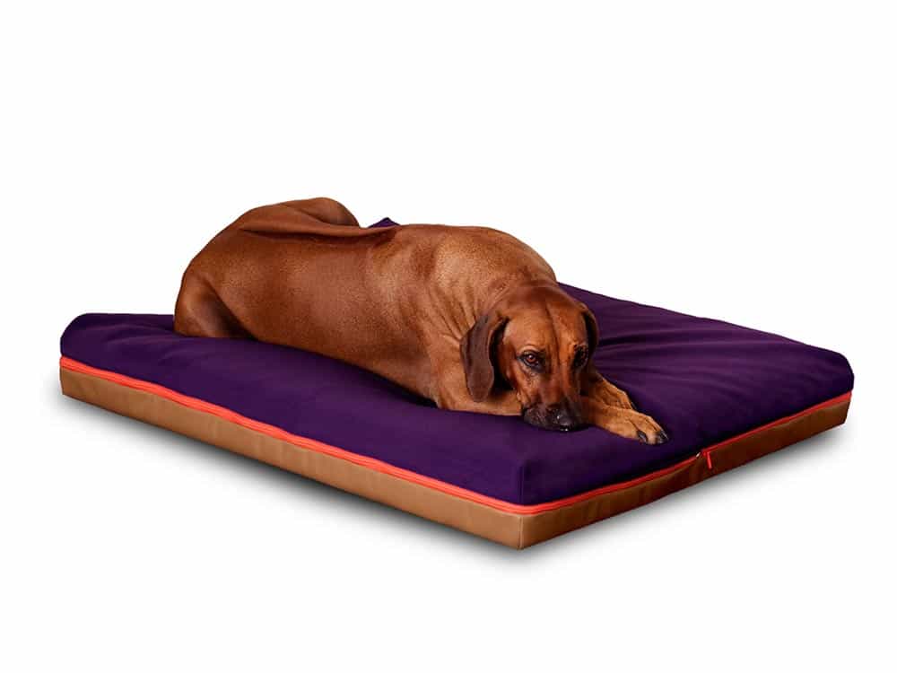 Viscoelastic dog mat with washable dog blanket from pet-interiors.
