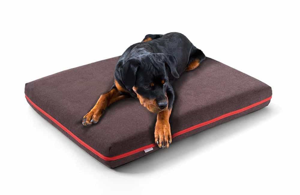 Rottweiler schläft tiefenentspannt auf seiner ergonomischen Hundematratze von pet-interiors.
