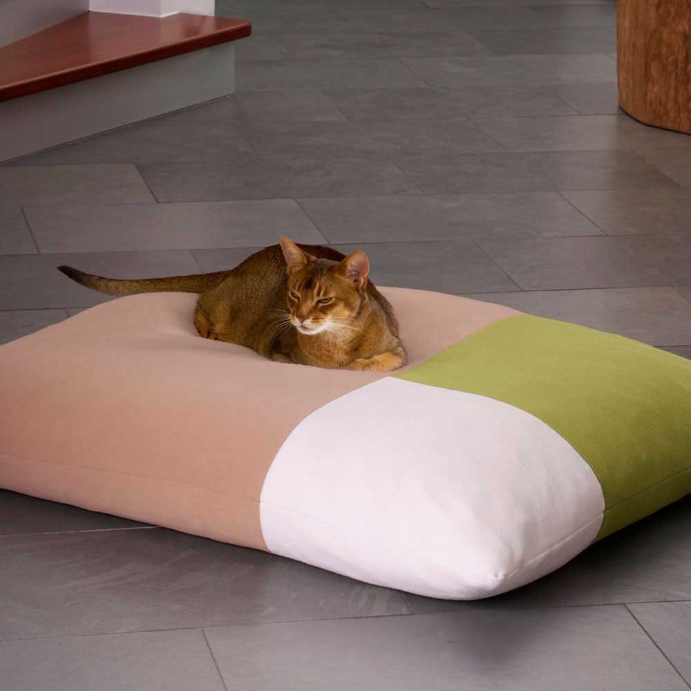 Cat cushion bed Divan QUATTRO