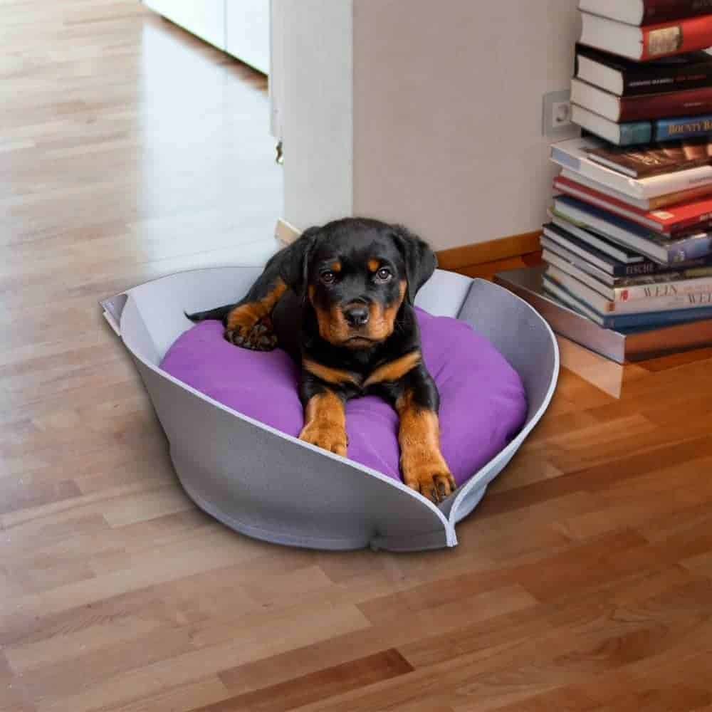 Stylish dog bed NOOK