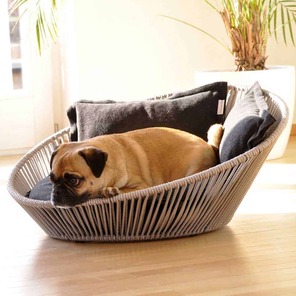 Designer dog basket SIRO Twist