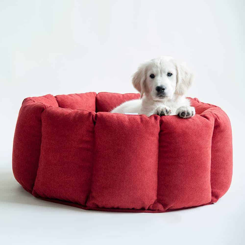 Round dog bed BLOOM