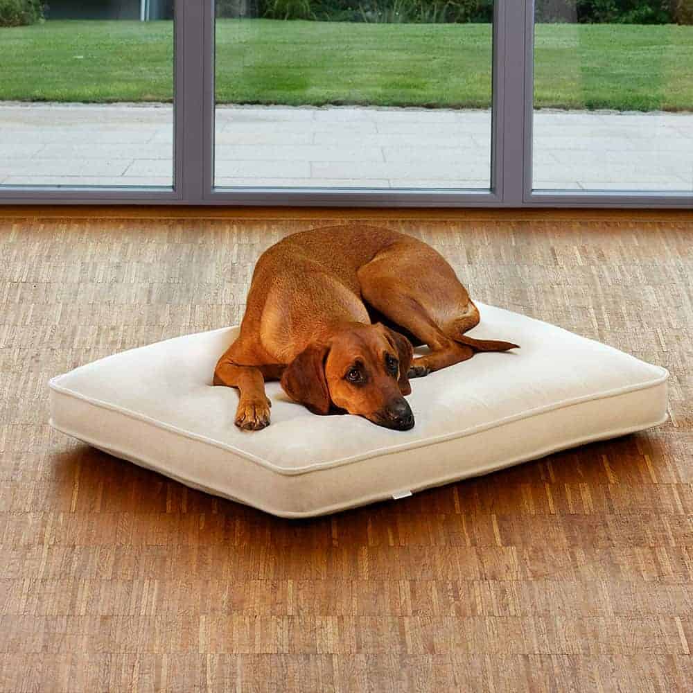 Washable dog cushion Lounge UNO