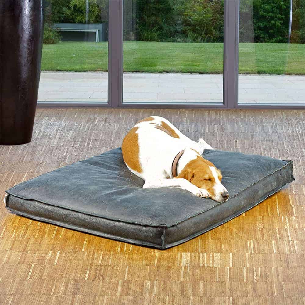 Dog cushion leather Lounge BUFFALO