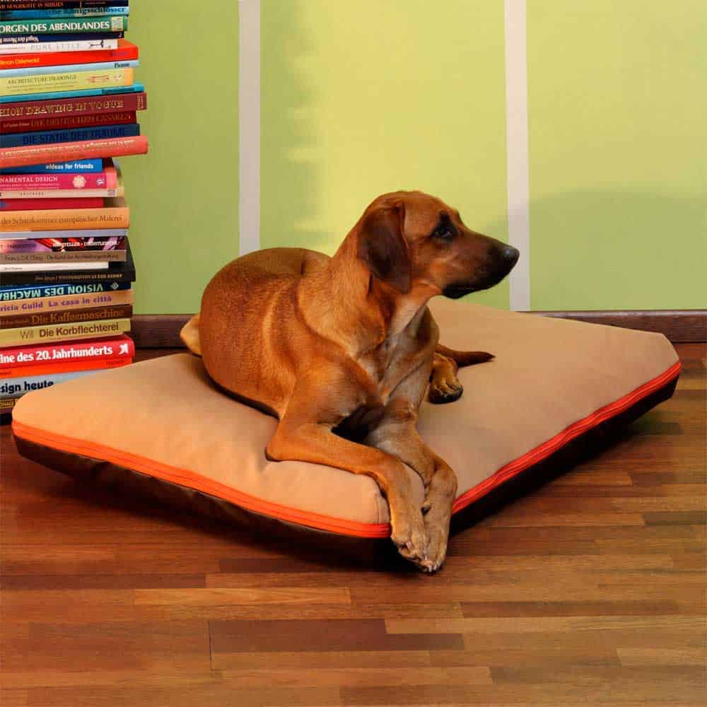 Dog bed with removable cover Lounge PAULINE