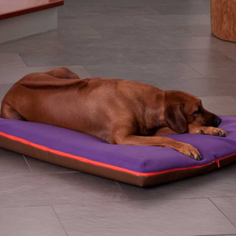 Memory foam orthopedic dog mat PAUL, incl. dog blanket