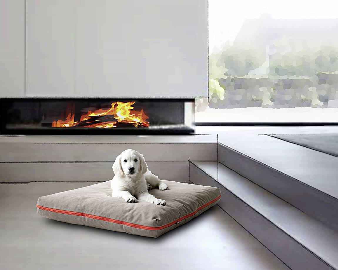 Dog on dog cushion in front of fireplace in purist living room
