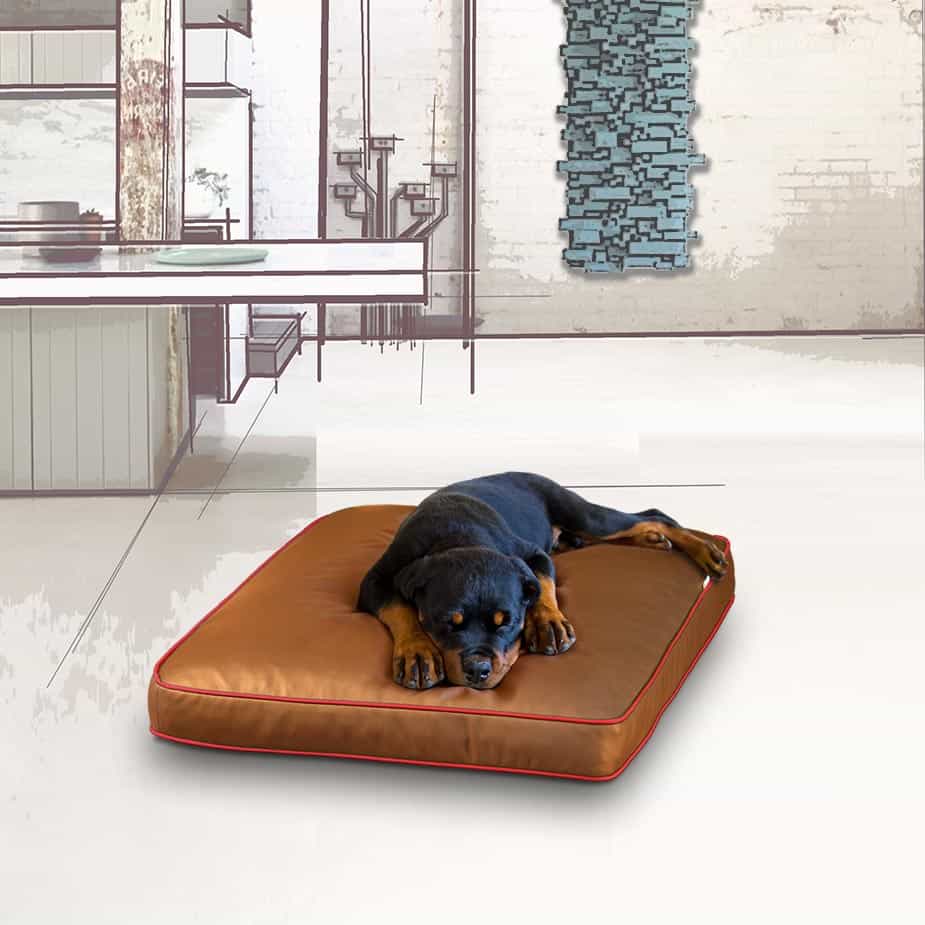 Dog cushion faux leather Lounge EDDY