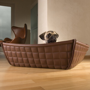 little pug in luxury pet bed