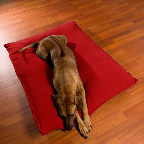 Divan Uno is a dog cushion of the extra class and very healthy.