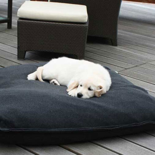 The high quality Divan Uno dog cushion is just perfect for my little Golden Retriever puppy.