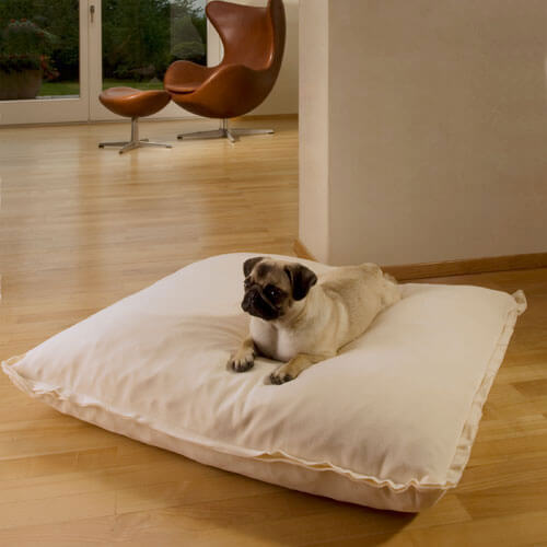 My little Pug is very enthusiastic about the new Divan Uno dog cushion.
