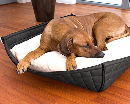 Dog-bed-basket-high-end-quality-design-Bowl-leather-pet-interiors