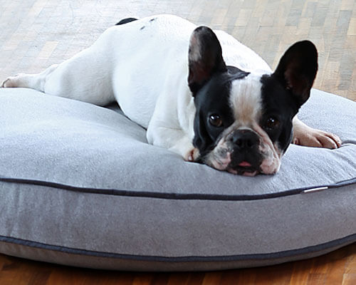 Dog-cushion-bed-exclusive-handmade-design-Lounge-pet-interiors